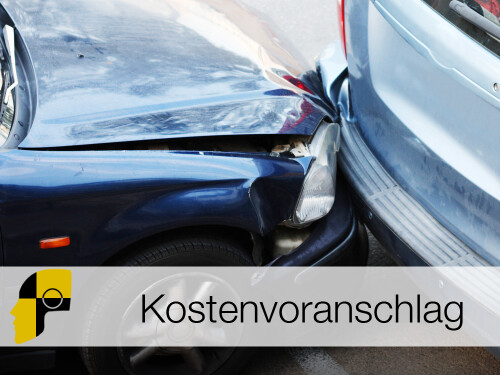 Für Bagatellschäden erstellen wir kostengünstig einen detaillierten Kostenvoranschlag mit Fotos.