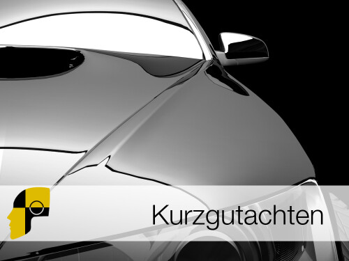 Bei einem Bagatellschaden erstellen wir kostengünstig ein detailliertes Kurzgutachten mit Fotos.