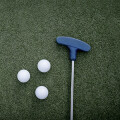 1. Miniatur-Golf-Club Mannheim Minigolfanlage