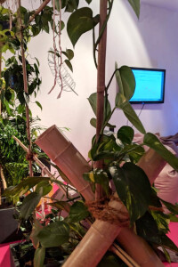 Ausbklick in unser Büro mit dashboard