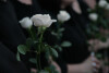Bild: Abendfriede Bestattungen