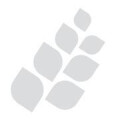 Logo Accessio Kapital GmbH