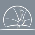 Logo ACN Strohm & Neumann GmbH Werbeagentur