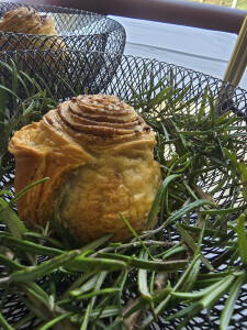 WhatsApp Bild 2025-08-08 um 17.43.28_a77f622c.jpg