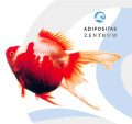 Bild: Adipositas Zentrum Oberhausen in Oberhausen, Rheinland