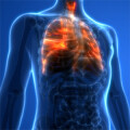 Ärzte für Gefäßerkrankungen (Angiologie) Dr. Dirk Sieber