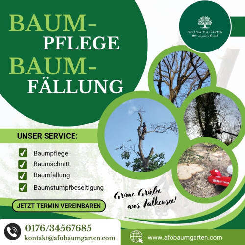 Baumpflege/ Baumfällung- Flyer von uns