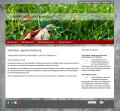 Logo Agentur 4 Werbung