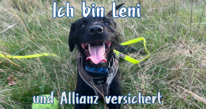 Allianz Schneider Tierkrankenversicherung