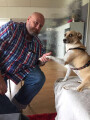 Wir haben die Hundeversicherung