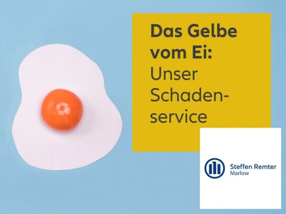 Allianz Versicherung Steffen Remter | Das gelbe vom Ei - unser Schadenservice