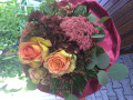 Bild: AMARYLLIS Blumen Knopp in Koblenz am Rhein