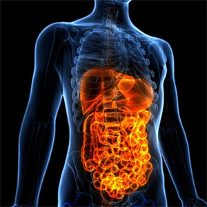 Amir Hemmati-Zangalani Facharzt für Innere Medizin und Gastroenterologie