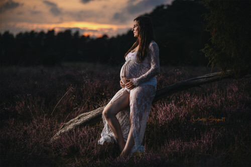 Schwangerschaftsfotos