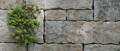 Logo Gallenberger, Anton