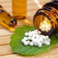 Apotheke im grünen Tal Georg Lang