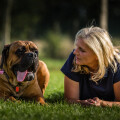 Astrid Stennei - Coaching für Hund & Halter