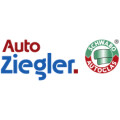 Auto Ziegler