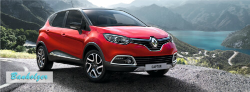 Banholzer - Der Renault