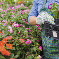 BAG-Franken eG Haus und Gartenmarkt