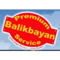 Balikbayan-Service Europe