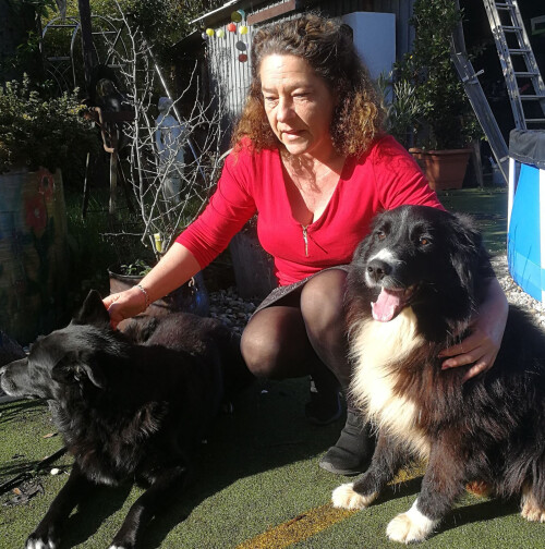 BaLu Hundefriseur mobil