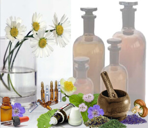 Link http://tierheilpraktiker-hunde-gesundheit.de/therapien/