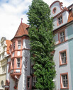 https://www.yelp.com/biz/hotel-barbara-freiburg