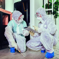 Bild: Bärenfanger & Witte Bauhygiene GmbH in Berlin