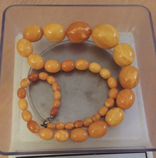 Butterscotch Bernstein