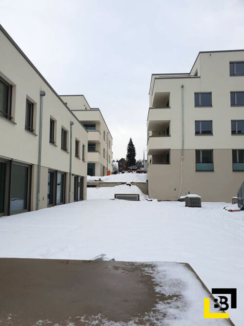 Verputzerarbeit-Wohnpark.jpg