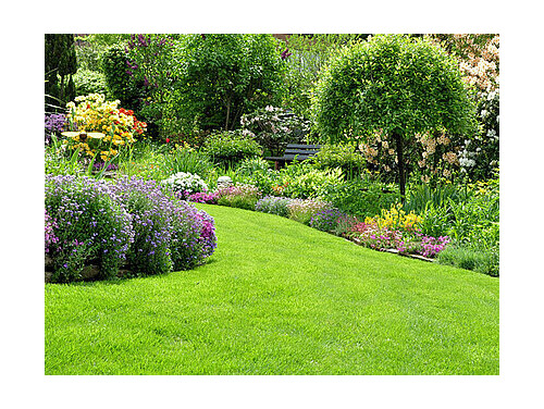 csm_gartenpflege_6884567_800_303f9b9c82.jpg