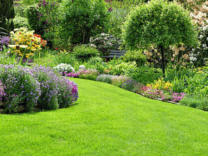 csm_gartenpflege_6884567_800_303f9b9c82.jpg