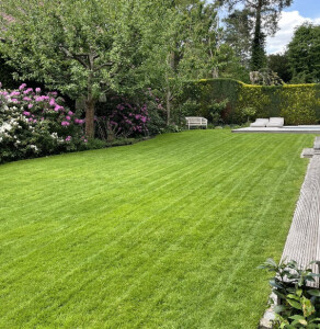 Baum- und Gartenpflege Schifelbein GmbH