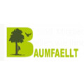 BAUMFAELLT-Baumpflege-Seilklettertechnik