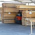 Baumfällung Brennholz
