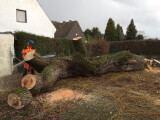 http://www.baumkrone-hannak.de/