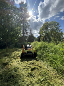 Grünpflege