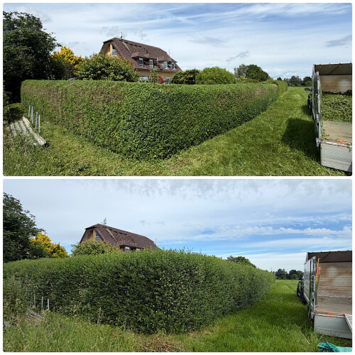 Heckenschnitt