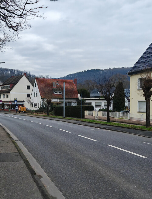 Baufeldrodung nachher