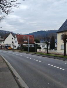 Baufeldrodung nachher
