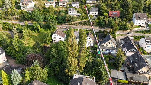 Kranfällung vorher