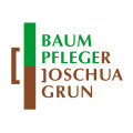 Baumpflege Grun