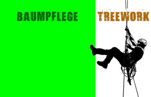 Baumpflege Treework