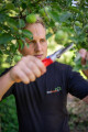 Obstbaum perfekt