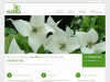 Bild: Baumschule und Gartengestaltung Meike Kania