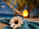 Bild: Beauty Wellness Lounge in Halle, Saale