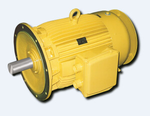 Motor mit verstärkter Lagerung