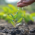 Beratungsgemeinschaft für Gartenbau und Landwirtschaft