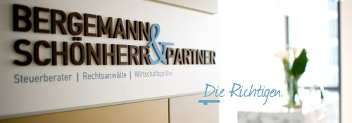 Steuerberater, Rechtsanwälte und Wirtschaftsprüfer